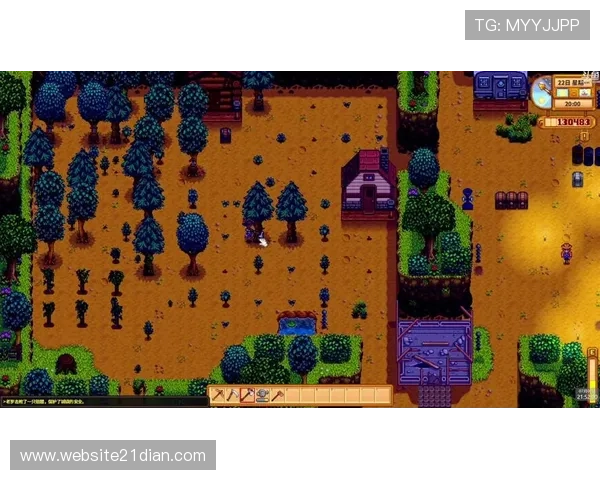 21点联机版常见问题解答，解决玩家在联机过程中遇到的各种困扰